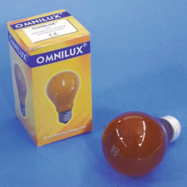 Glühlampe – Omnilux A19 – E27 – 25W – Orange
