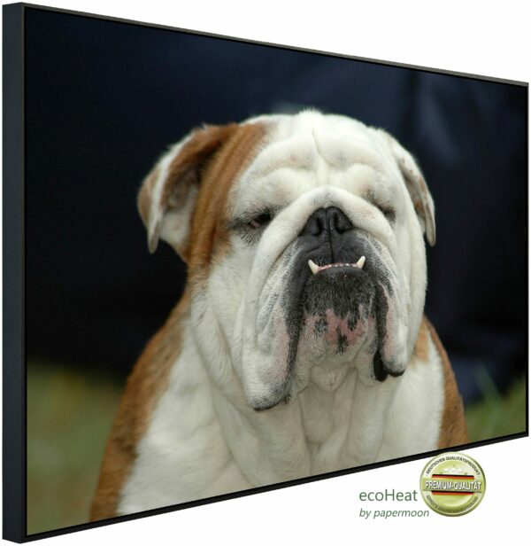 Papermoon Infrarotheizung "Englisches Bulldoggenporträt", sehr angenehme Strahlungswärme