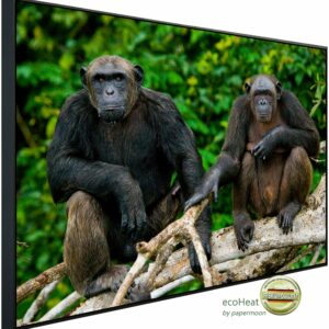 Papermoon Infrarotheizung "Schimpansen aus dem Kongo", sehr angenehme Strahlungswärme